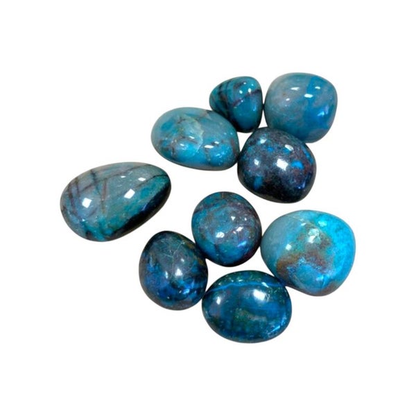 Turquoise Fénix
