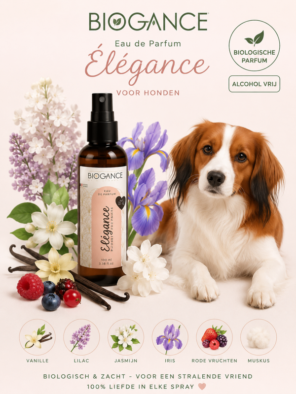 Elegance 100ml