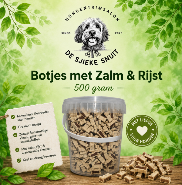 Botjes zalm & rijst 500 gram
