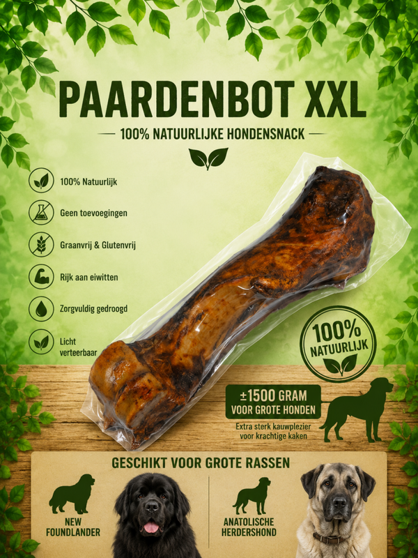 Paardenbot XXL +/- 1.500 gram