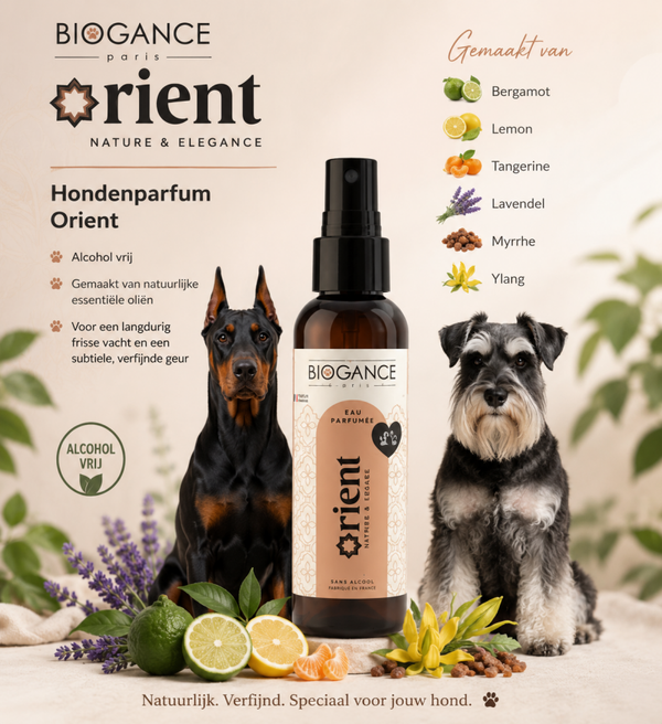 Parfum Orient 100ml