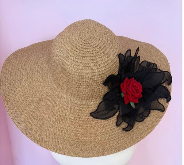 Large rimmed hat
