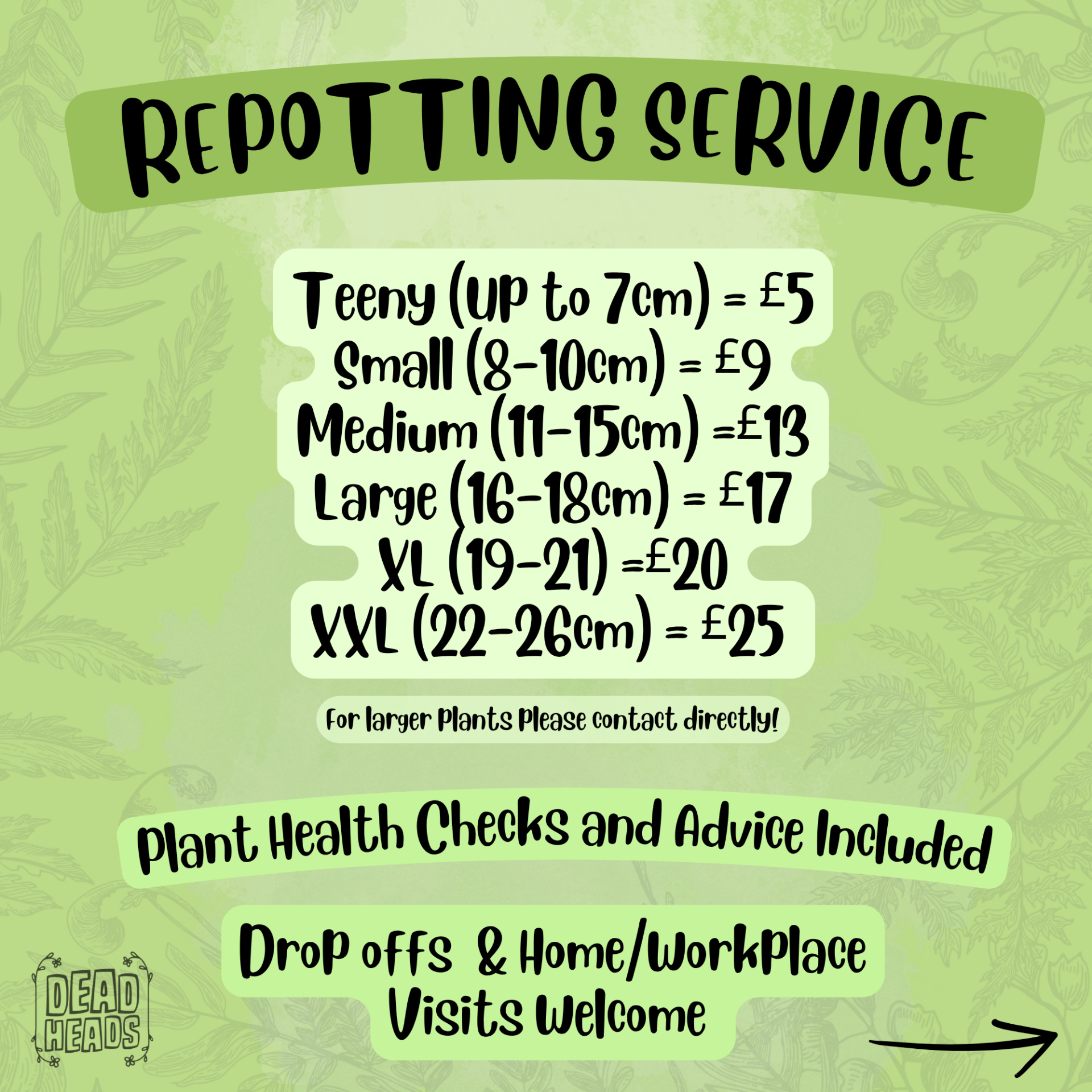 Repotting Service