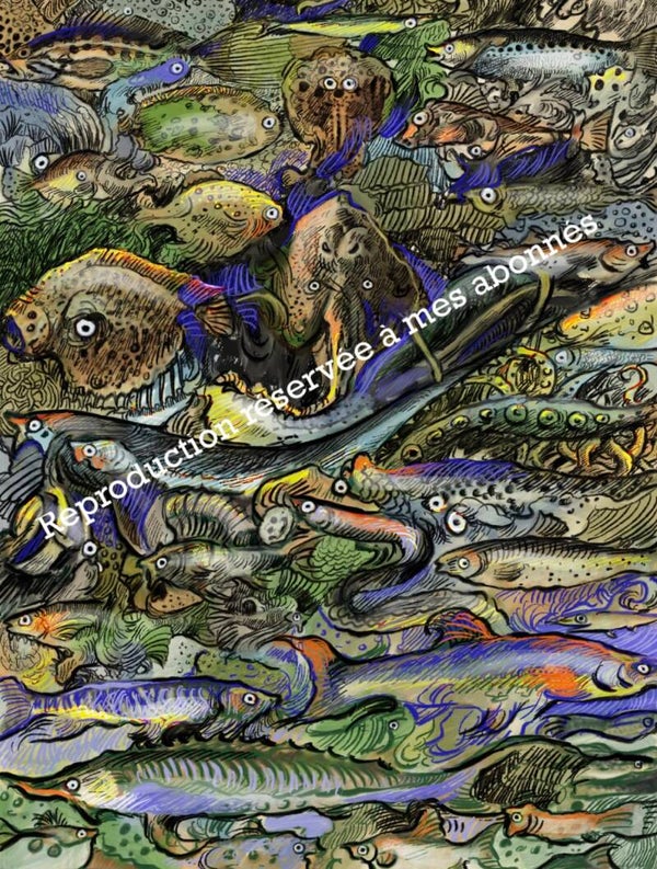 Poissons d’avril 01/04/2024
