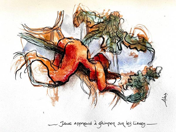 Jane apprend à grimper sur les lianes