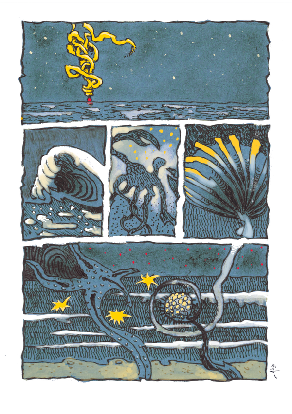 «  C’est joli la plage depuis que l’Homme a disparu »