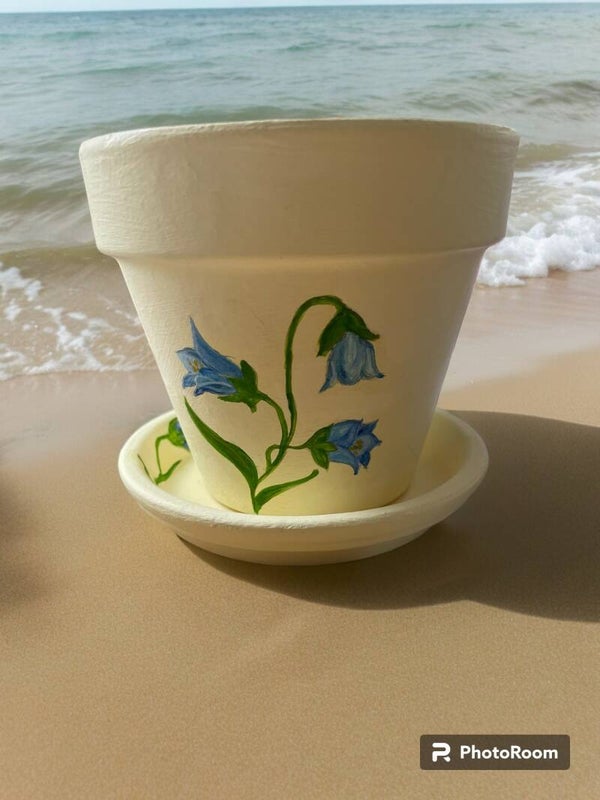 Small decorated indoor/outdoor plant pot