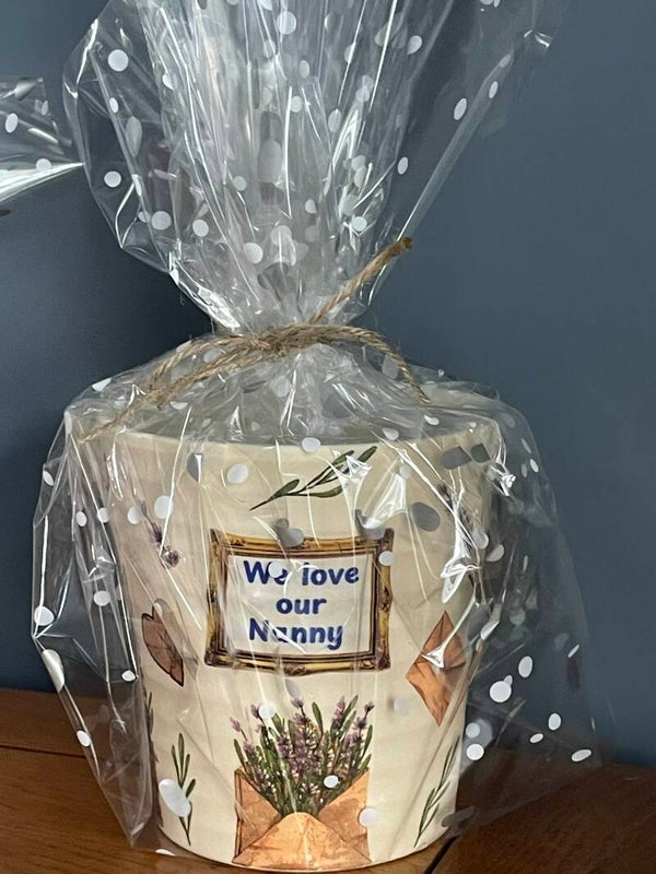 We Love Nanny - Decorated indoor plant pot