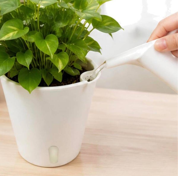 Pot intelligent à auto-arrosage Taille: 3.8po