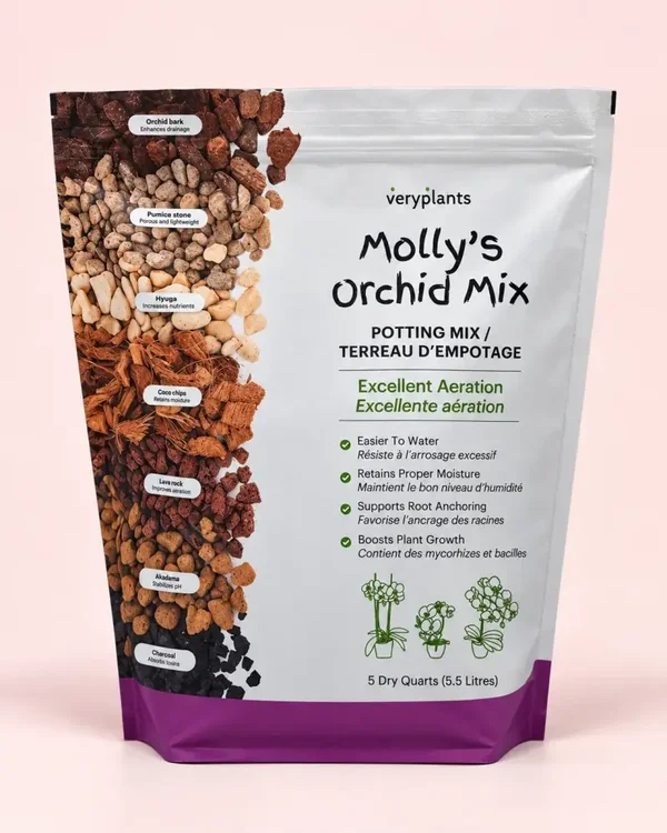 Molly's Aroid Mix pour orchidées 3.3L