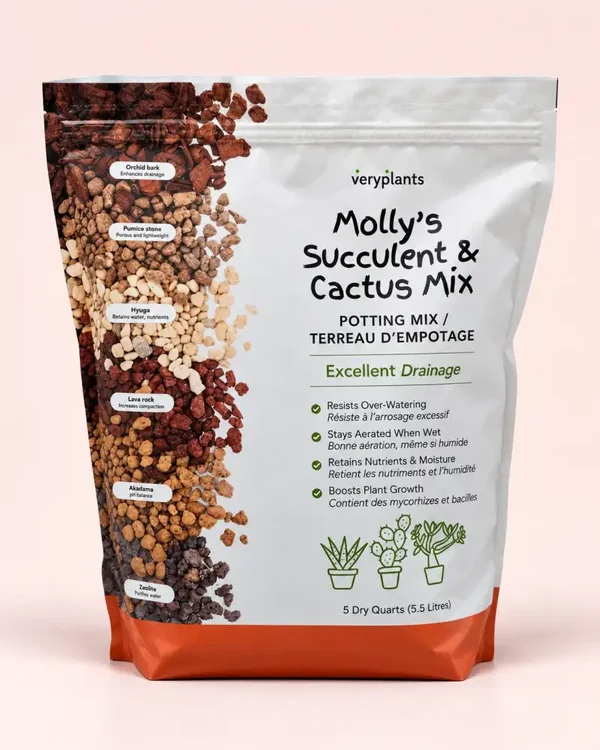 Molly's Aroid Mix pour Succulent & Cactus 3.3L