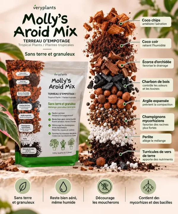 Molly's Aroid Mix pour plantes tropical