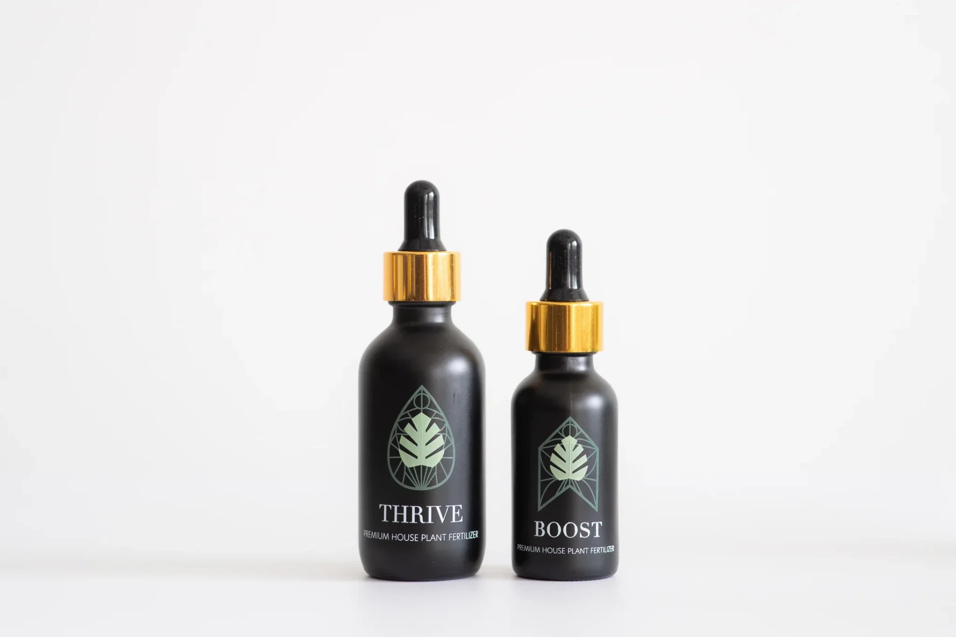 Thrive & Boost