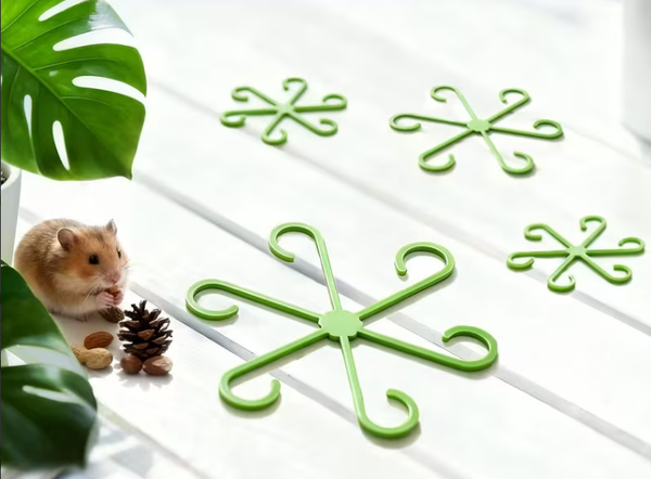 Attache-Plante