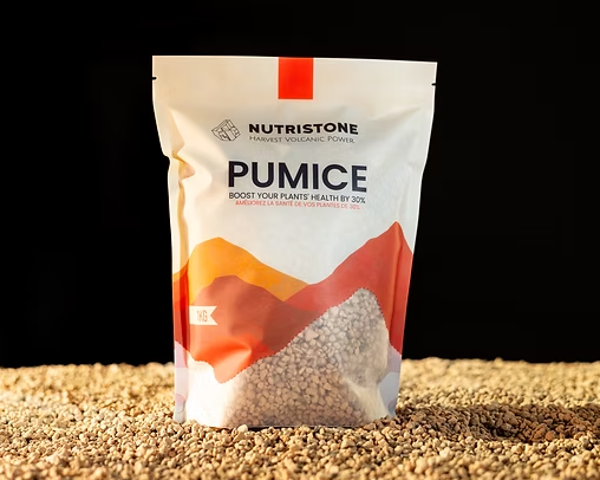 Pumice