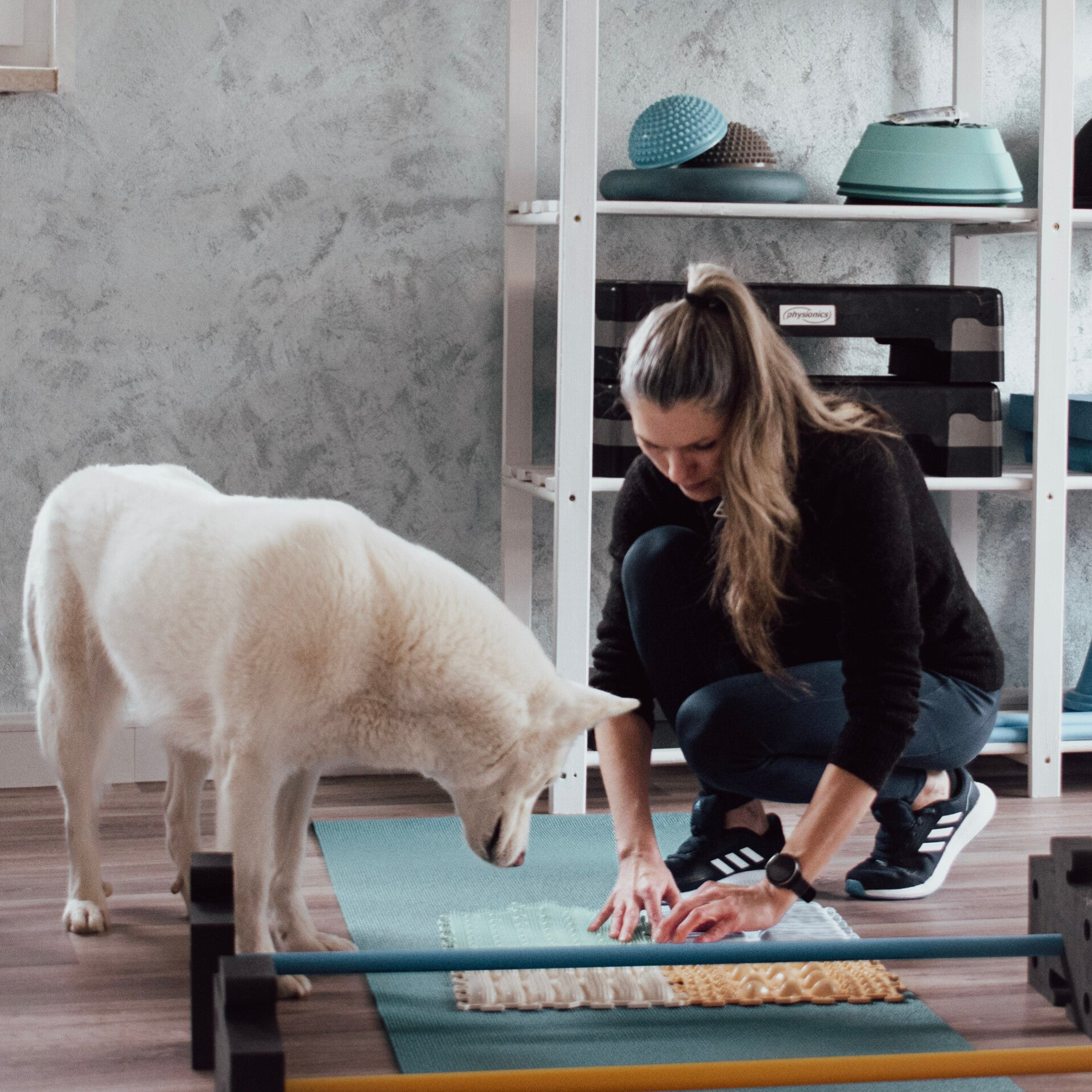 Physiotherapeutin baut f+r einen Hund den Fitnessparcour auf