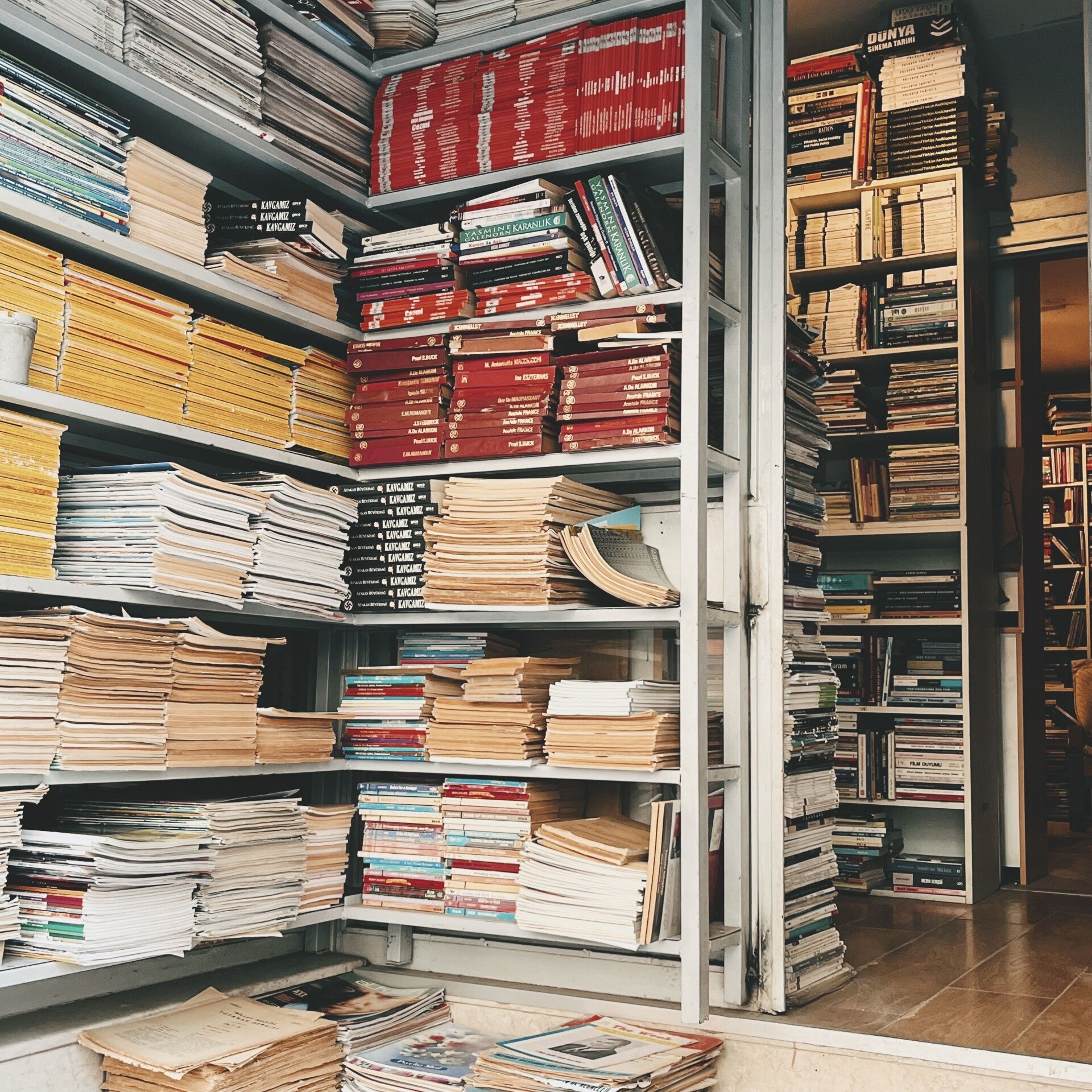 Information Organization