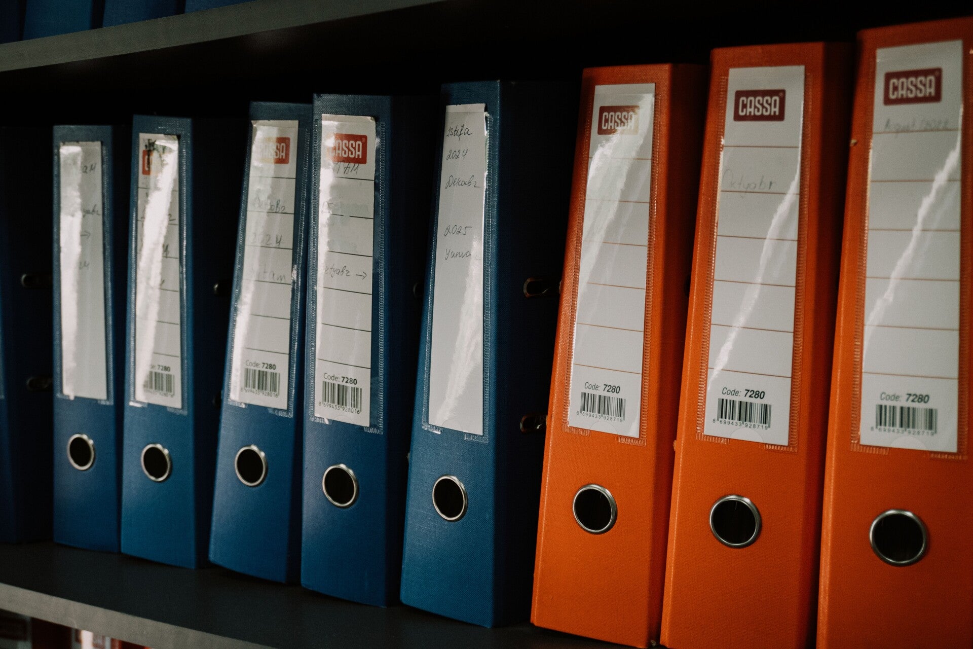 📁 Digital File Organization