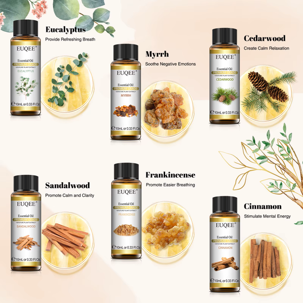 6-Piece Woody Essential Oil Set – Eucalyptus, Cedarwood & Sandalwood