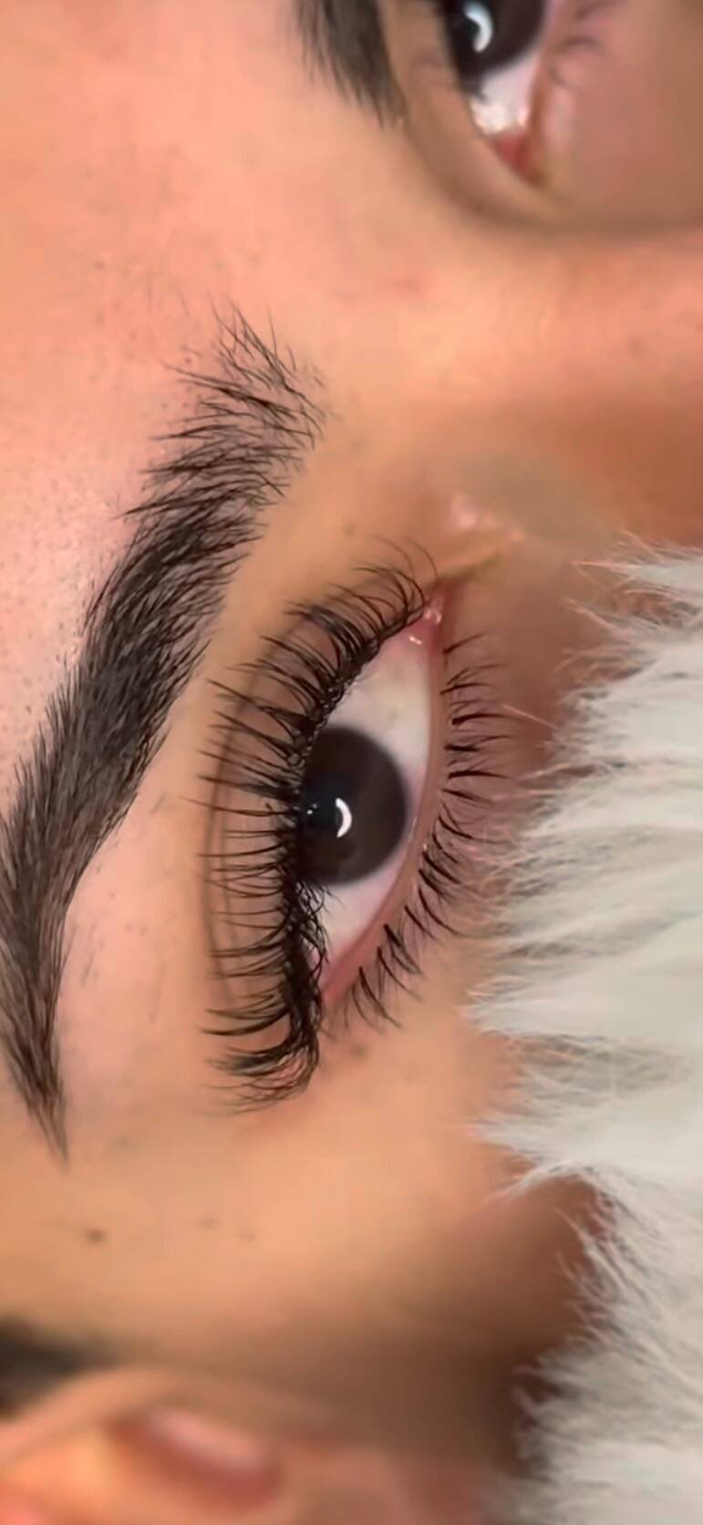 Classic Lash – Lashes by Cambria