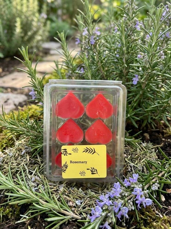 Rosemary wax melts