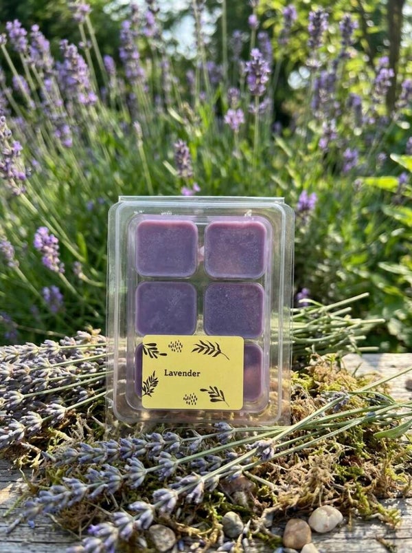 Lavender wax melts