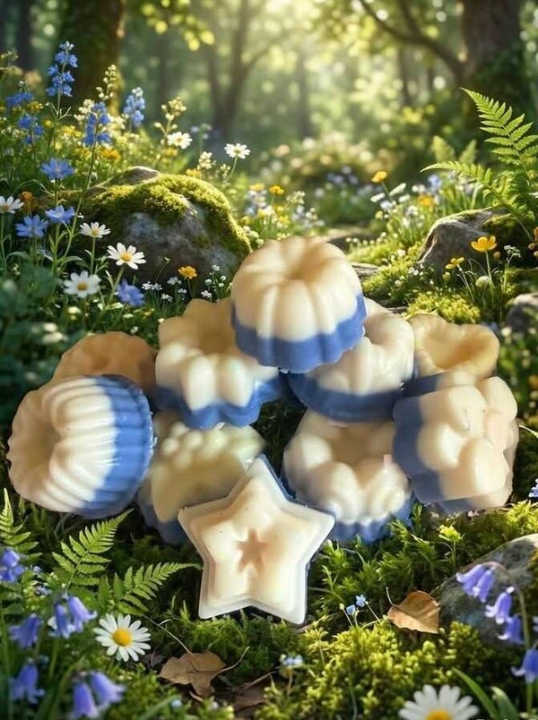 Large Wax melts
