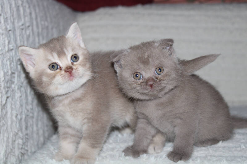 img_8127-standard.jpg