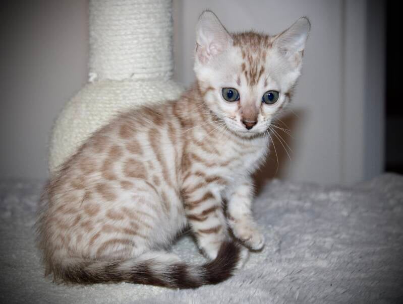 img_8454-standard.jpg