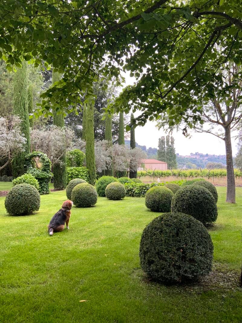 La Cour Intérieure Ménerbes Amazing view