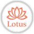 Lotus skin &amp; brow studio