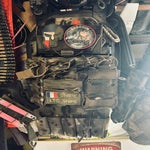img_0878-standard.jpg