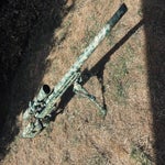 img_2412-standard.jpg