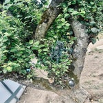 img_2447-standard.jpg