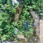 img_2448-standard.jpg