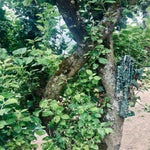img_2460-standard.jpg