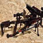 img_6650-standard.jpg