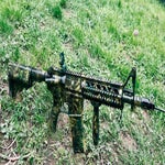 img_6978-standard-94tlxu.jpg