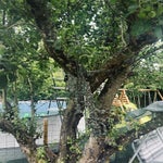 img_7730-standard.jpg