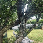 img_7733-standard.jpg