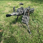 img_7756-standard.jpg