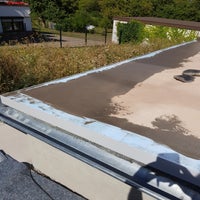 20190903_121739-standard.jpg