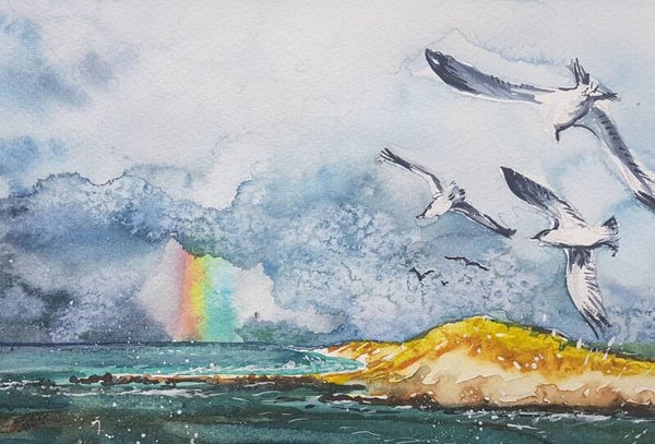 Gulls Ahoy!