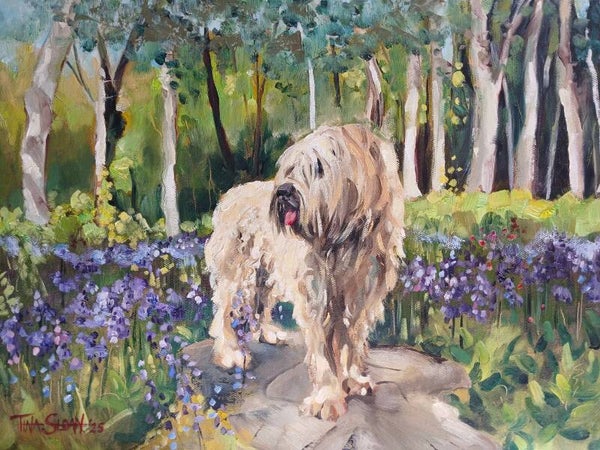 "Bella" in the Bluebells