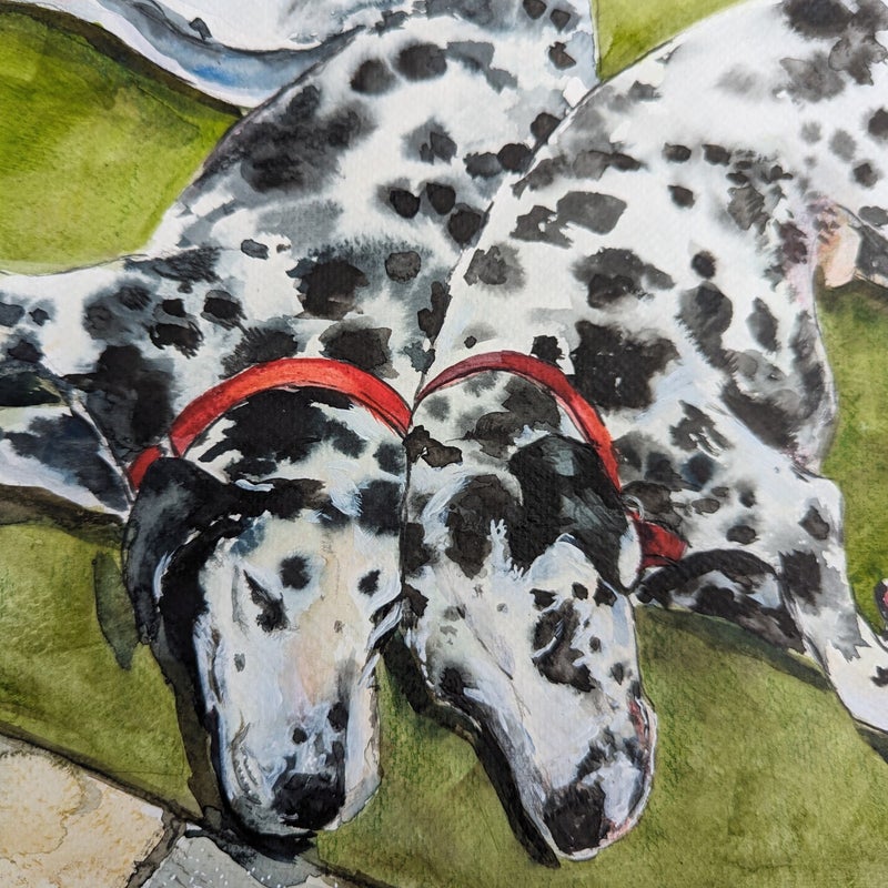 Dalmatians