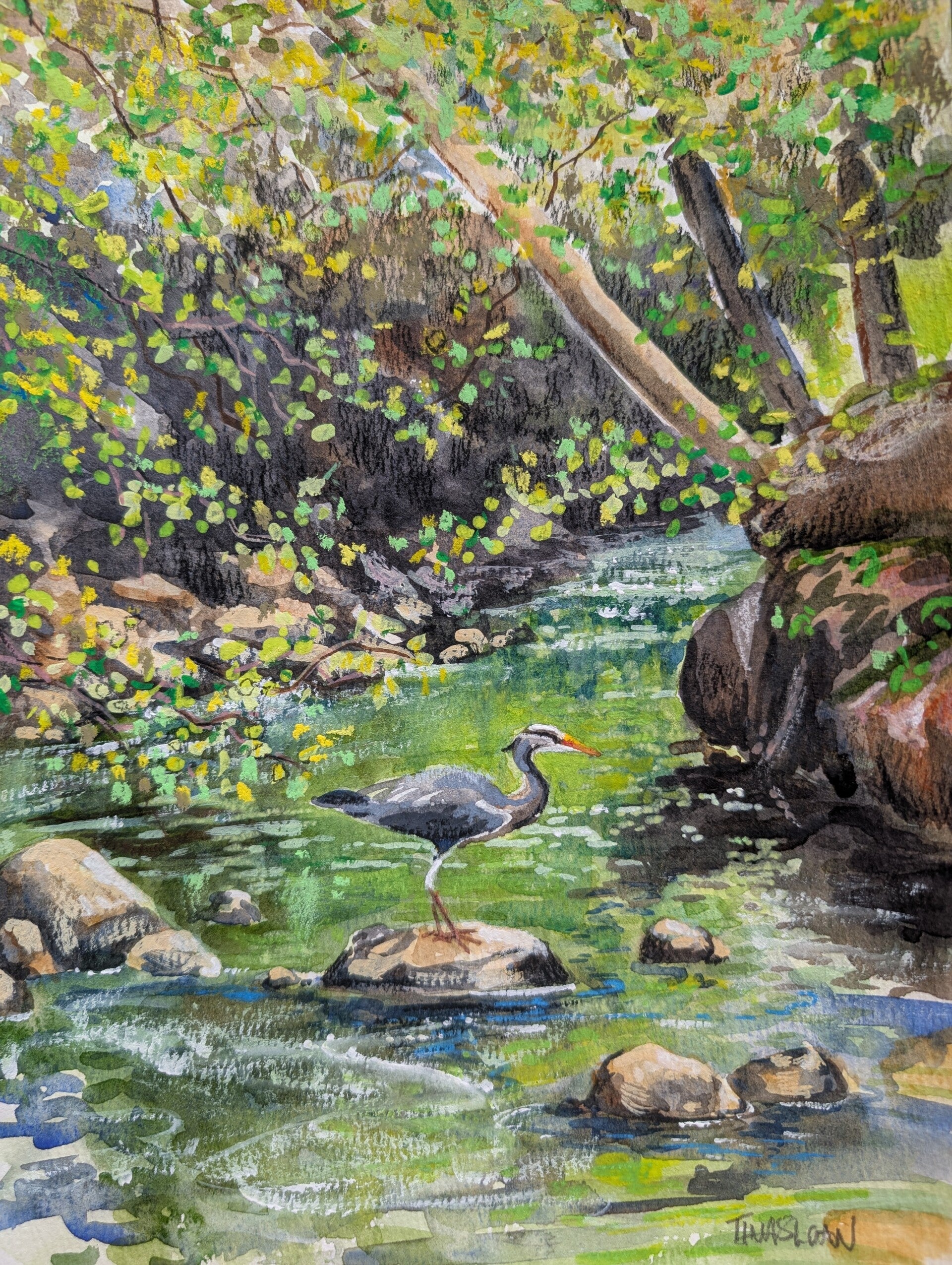 Dean Park Heron