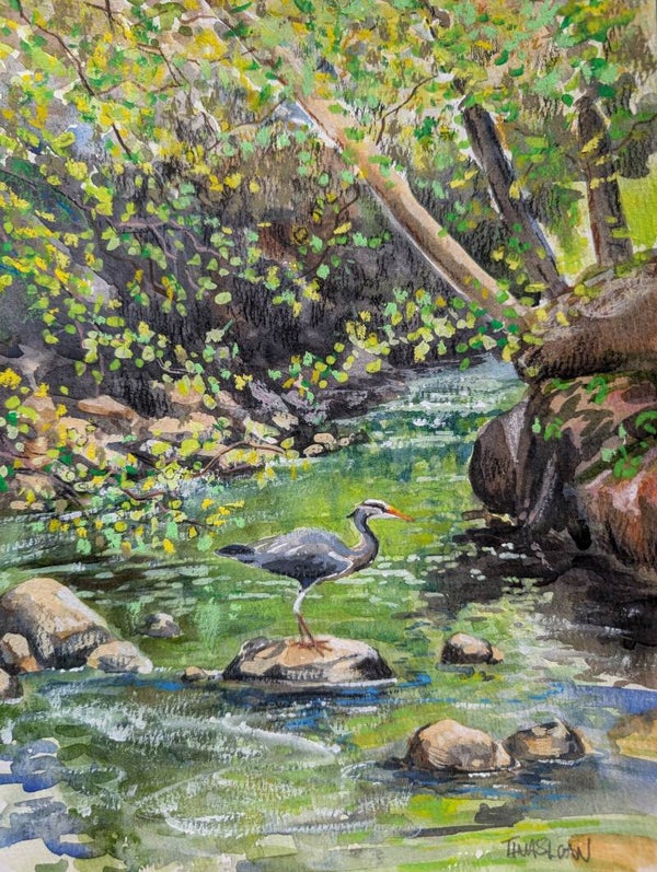 Dean Park Heron
