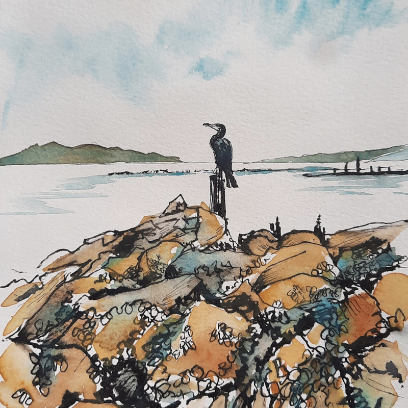 Cormorant on the Rocks. Irvine A4 £25