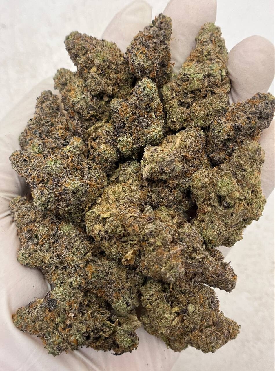 Mimosa