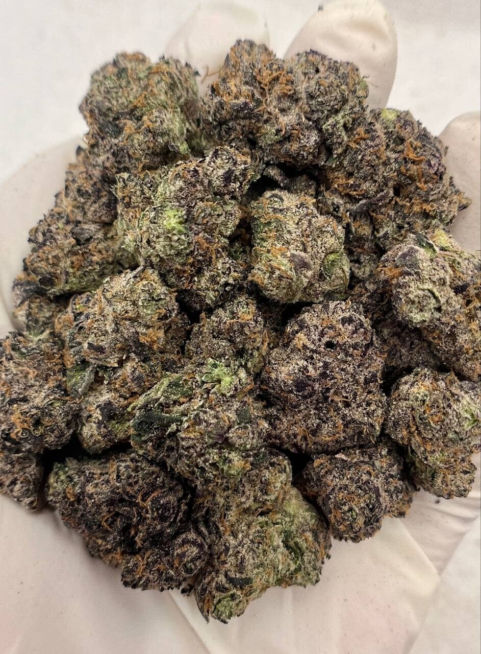 Black Mamba